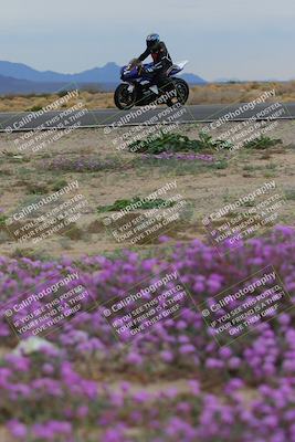media/Jan-14-2023-SoCal Trackdays (Sat) [[497694156f]]/Turn 14 Exit Bloomig (145pm)/